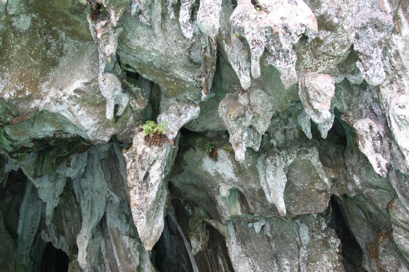 Closer look at the top of the caves